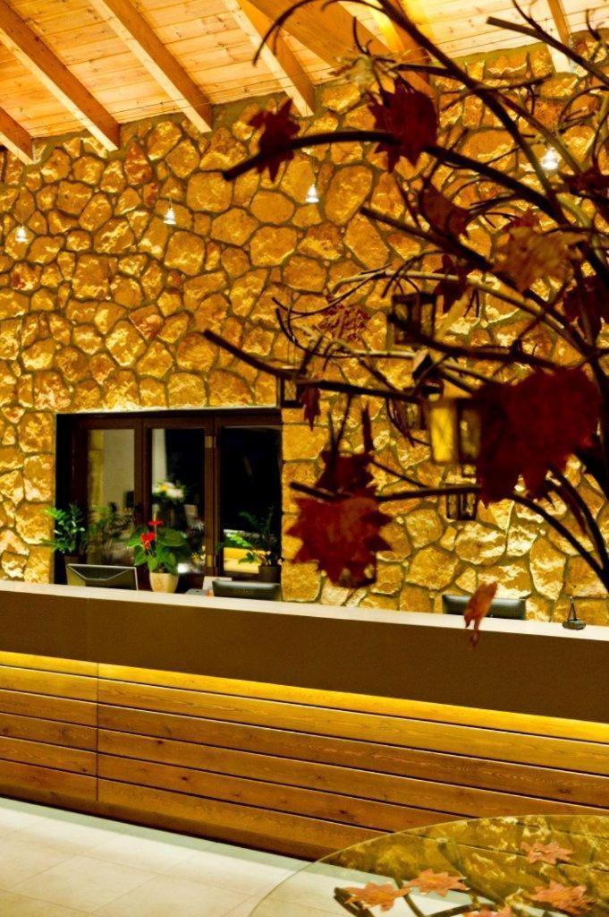 Pliadon Gi Mountain Resort & Spa Kato Sinikia Trikalon المظهر الخارجي الصورة
